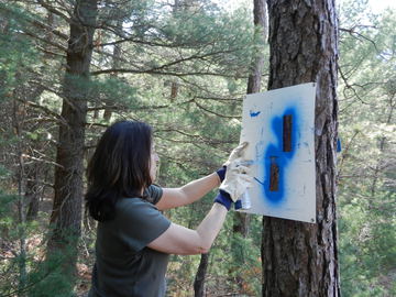 painting blazes along Bentley Loop