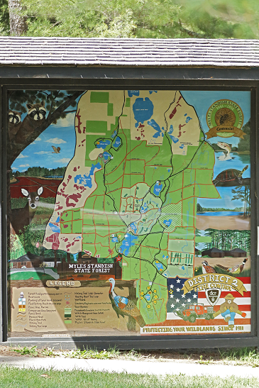 MSSF map mural