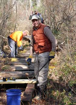 AMC volunteer Dexter helps with boardwalk