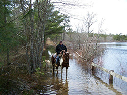 Myles Standish equestrian man and horse on flooded path