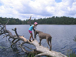 myles standish girl and dog